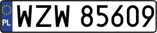 WZW85609