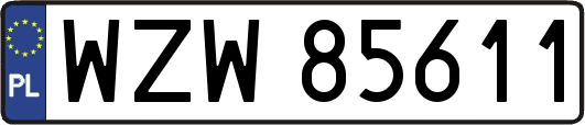 WZW85611