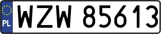 WZW85613