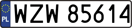 WZW85614