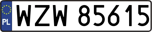 WZW85615