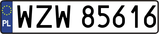WZW85616