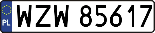 WZW85617
