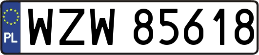 WZW85618