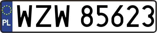 WZW85623