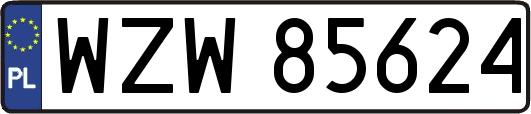 WZW85624