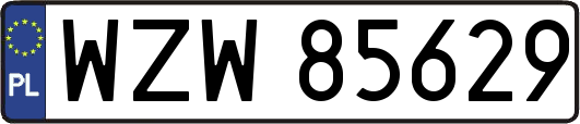 WZW85629