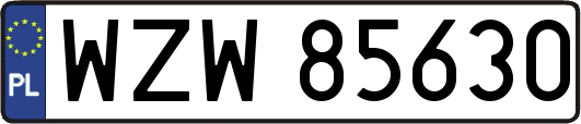 WZW85630