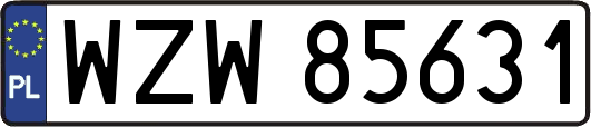 WZW85631