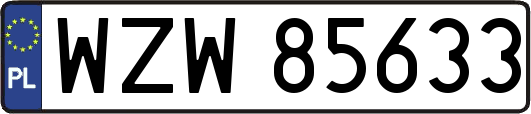 WZW85633