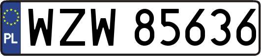 WZW85636