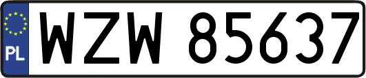 WZW85637