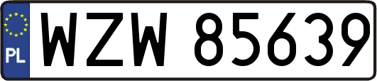 WZW85639