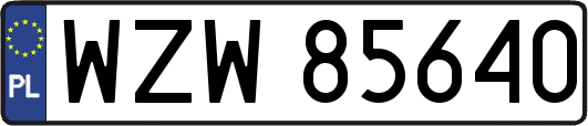WZW85640