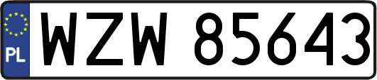 WZW85643