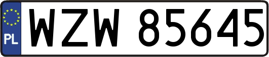 WZW85645