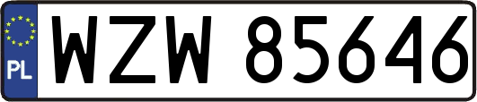 WZW85646
