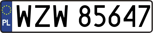 WZW85647