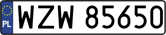 WZW85650