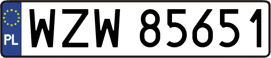 WZW85651
