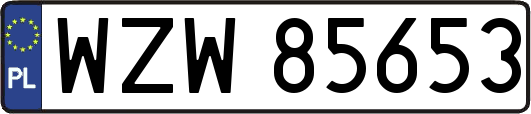 WZW85653