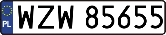 WZW85655