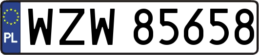WZW85658