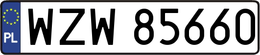 WZW85660