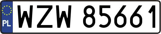 WZW85661
