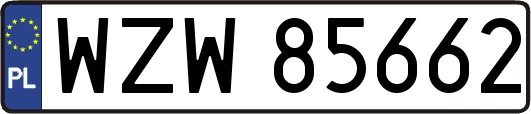 WZW85662
