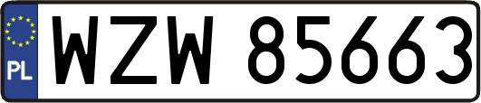 WZW85663