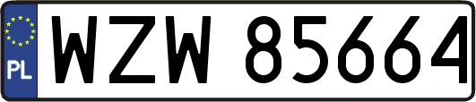 WZW85664