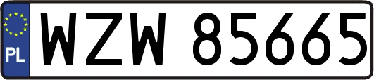 WZW85665