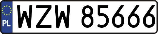 WZW85666