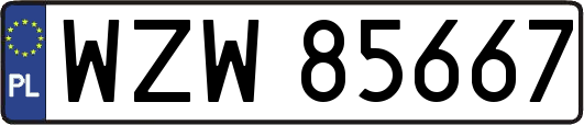 WZW85667