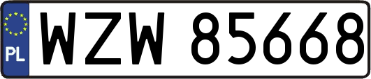 WZW85668