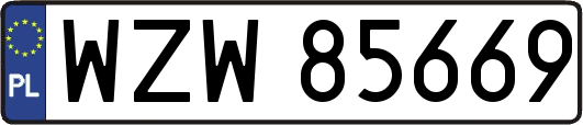 WZW85669