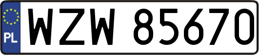 WZW85670