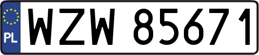 WZW85671