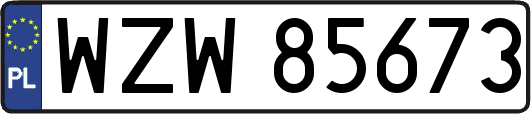 WZW85673