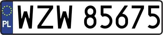 WZW85675