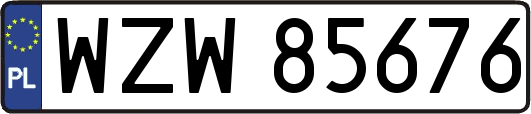 WZW85676