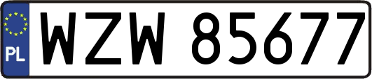 WZW85677