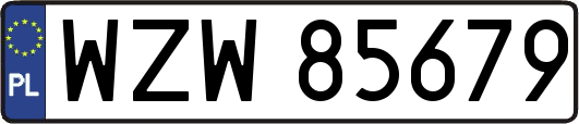 WZW85679