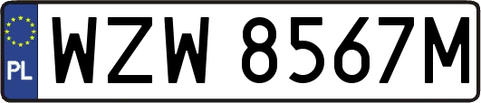 WZW8567M