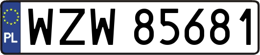 WZW85681