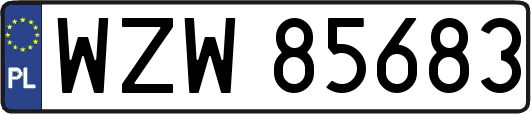 WZW85683