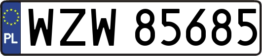 WZW85685