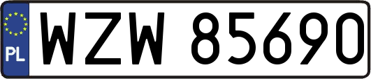 WZW85690