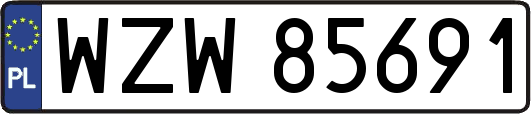 WZW85691